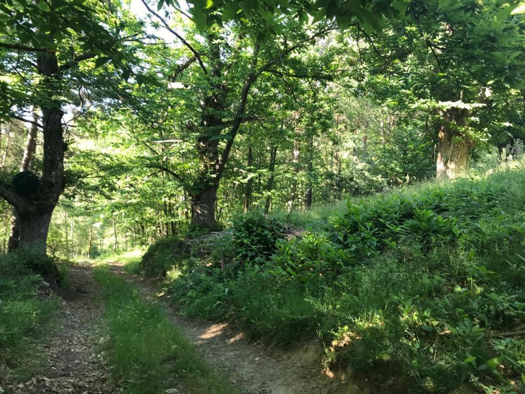Les Grangeonnes, Gites Nature, Piscine, Bain Nordique, Sauna Pour Accueil Familiale Ou De Groupe Saint-Basile 외부 사진