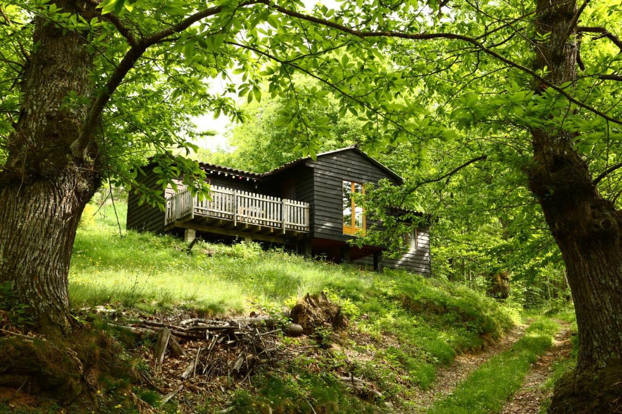 Les Grangeonnes, Gites Nature, Piscine, Bain Nordique, Sauna Pour Accueil Familiale Ou De Groupe Saint-Basile 외부 사진